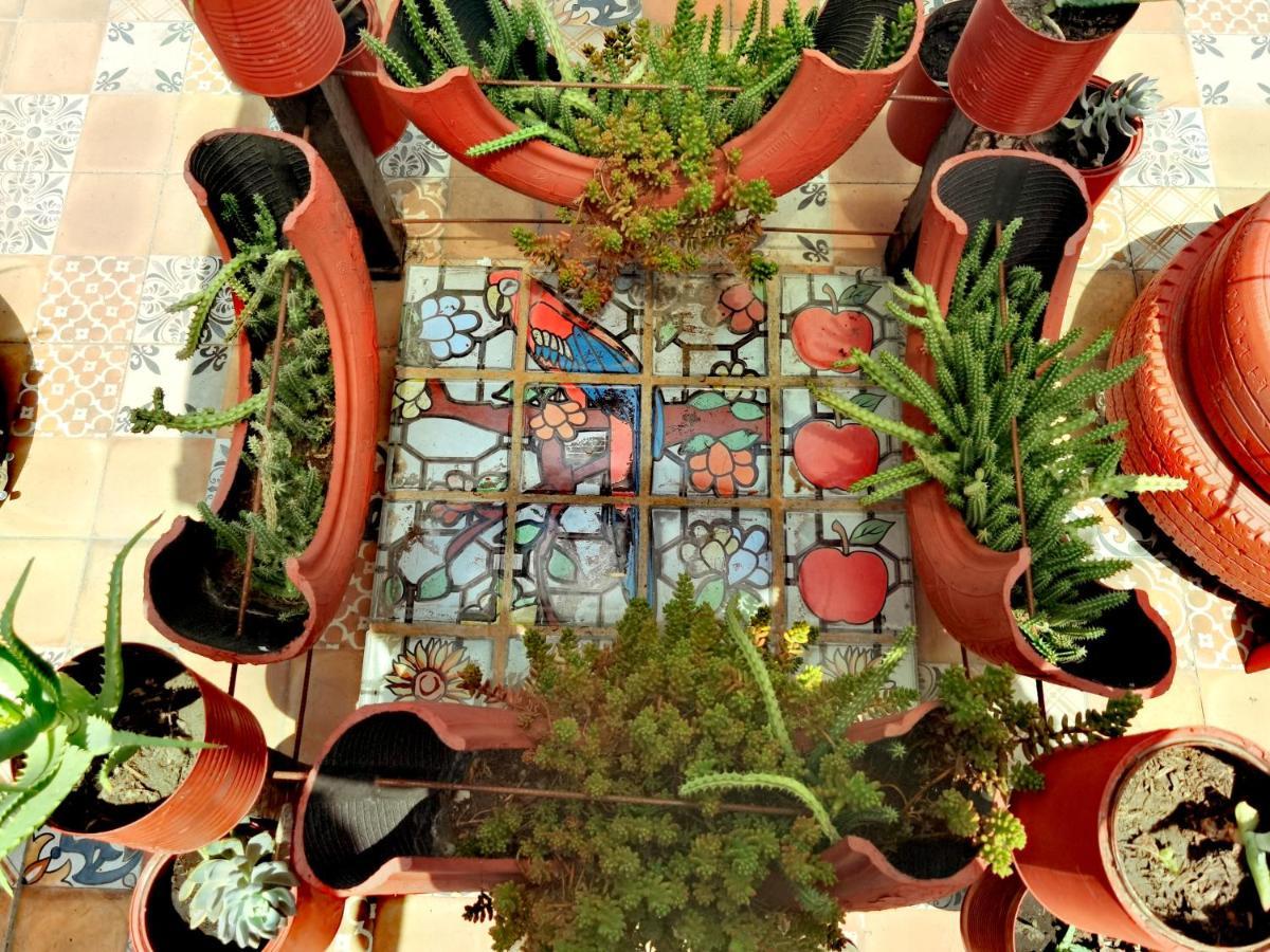 The Roof Backpackers Hotel Guadalajara Exterior photo