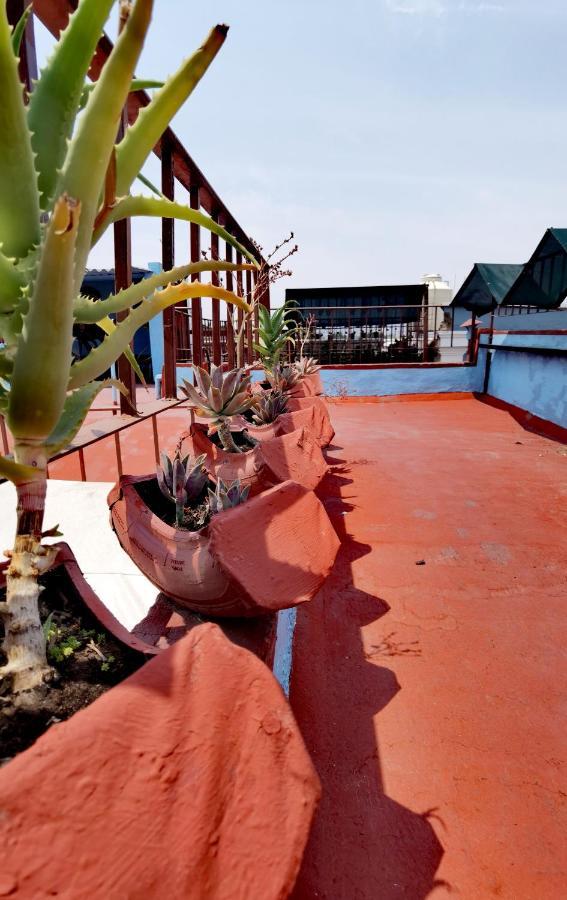 The Roof Backpackers Hotel Guadalajara Exterior photo