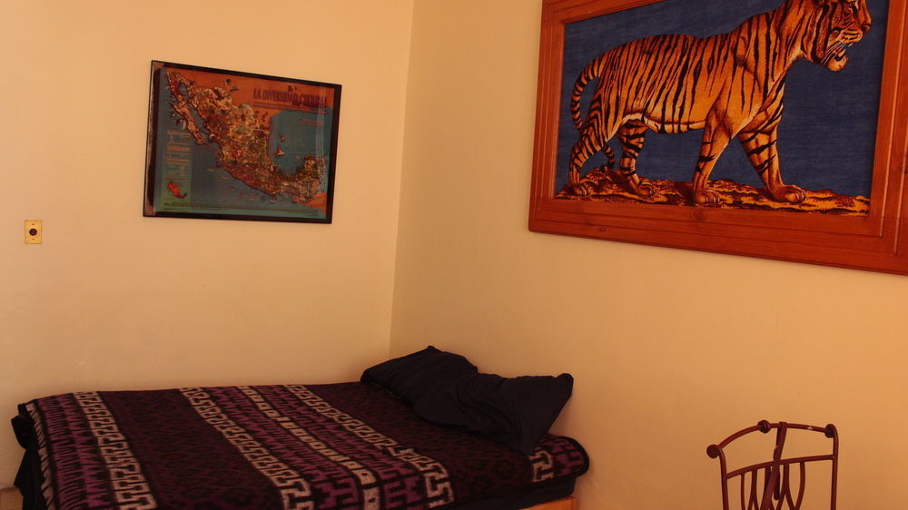 The Roof Backpackers Hotel Guadalajara Exterior photo